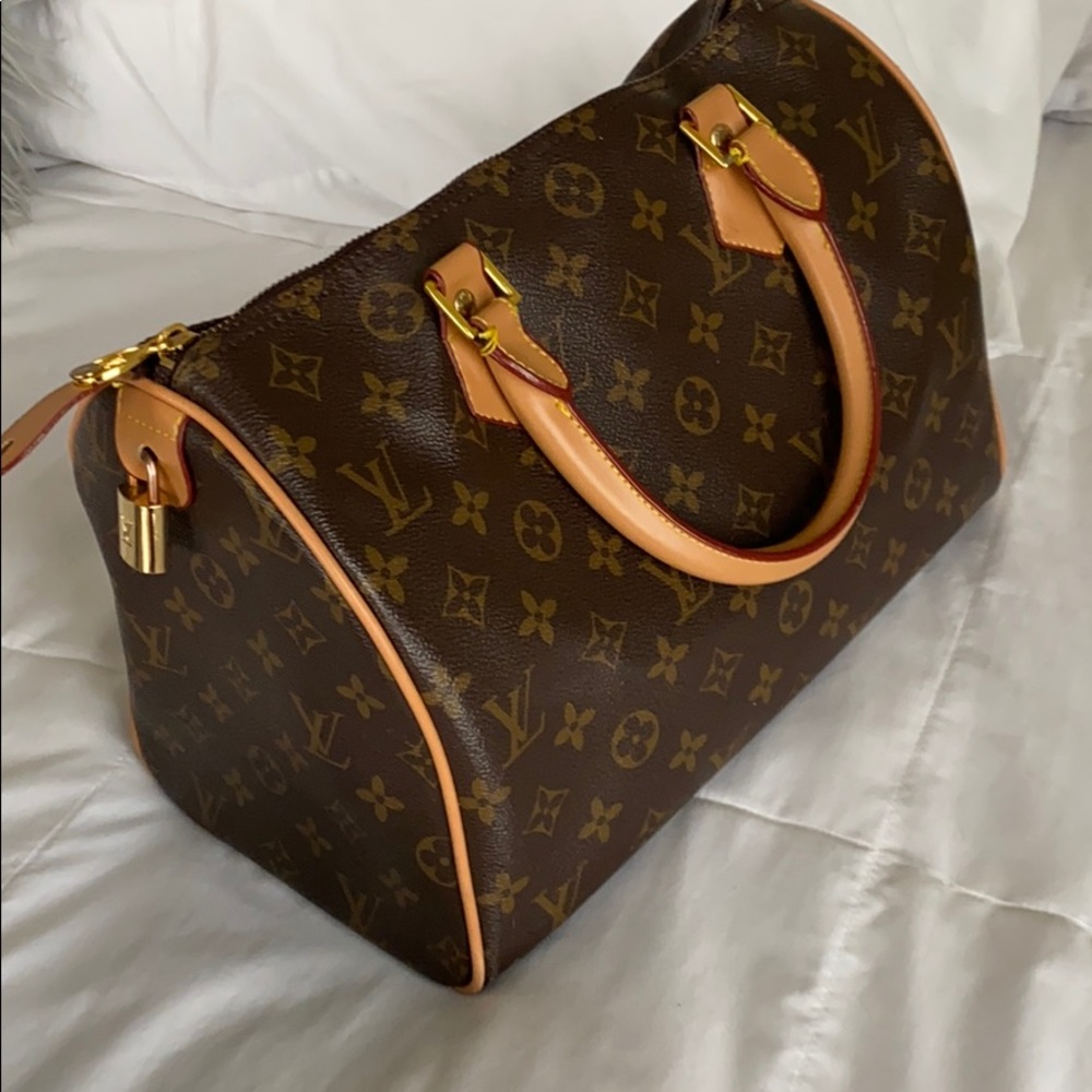 Louis Vuitton purse